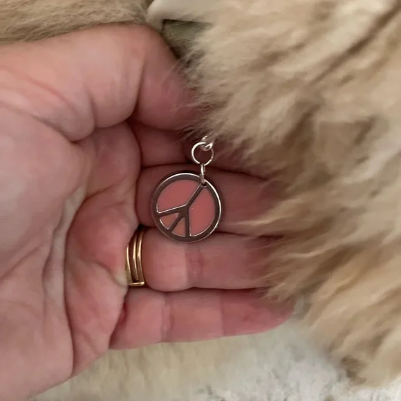 ☮️HOST PICK! Peace pet charm - Picture 3 of 7